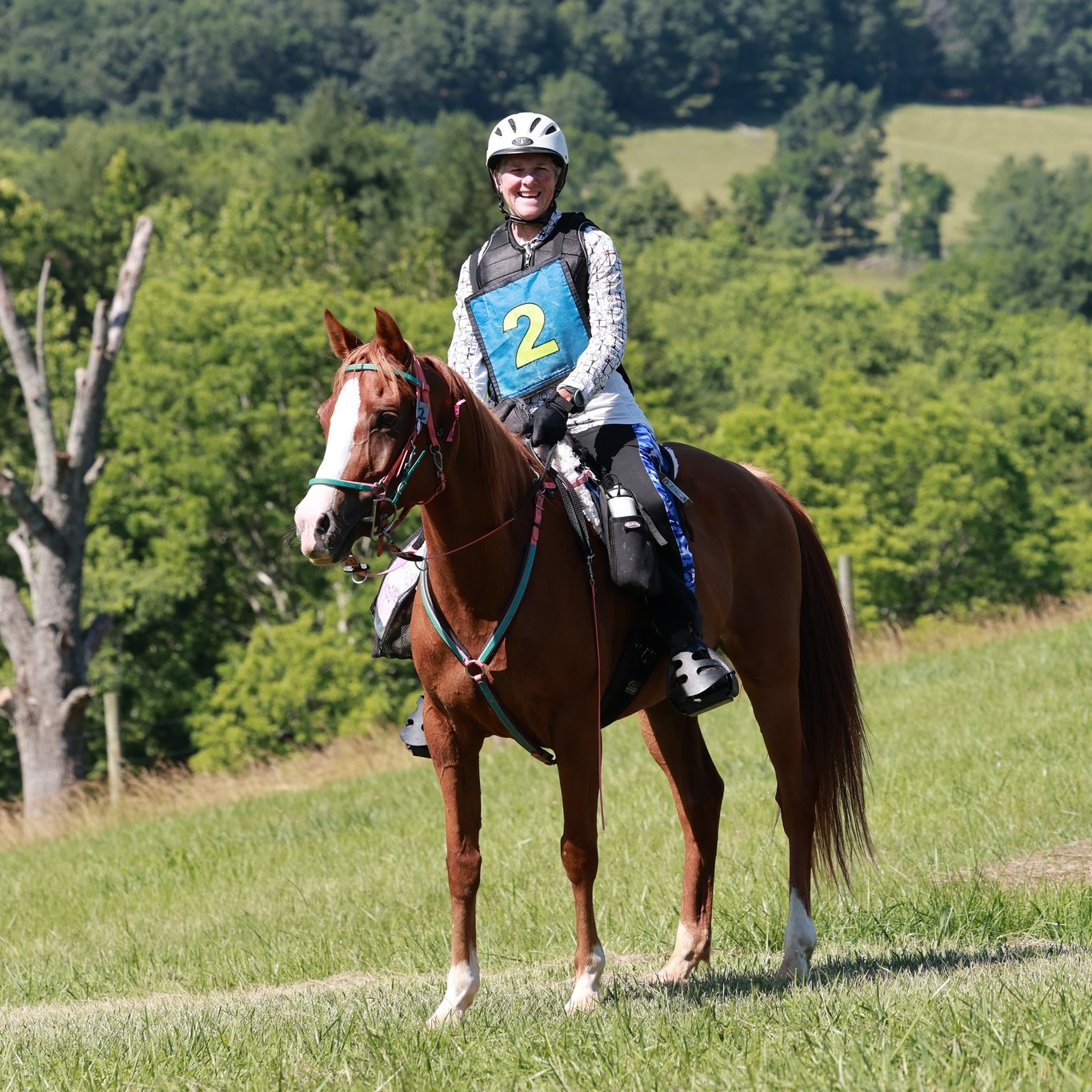 Arabella Z Cindy Mettes